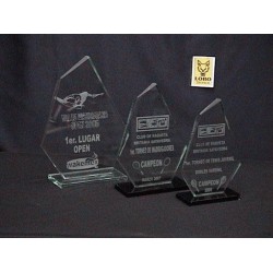 CG1 A VIDRIO GRABADO MODELO FLECHA